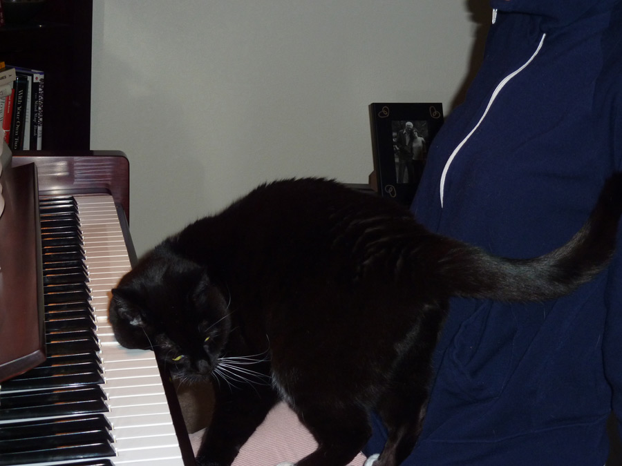 Girlfriend Tickling the Ivories